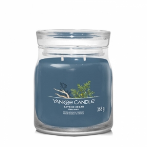 Aromatinė žvakė Yankee Candle Aromatic candle Signature glass medium Bayside Cedar 368 g 