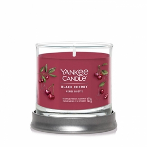 Aromatinė žvakė Yankee Candle Aromatic candle Signature tumbler small Black Cherry 122 g