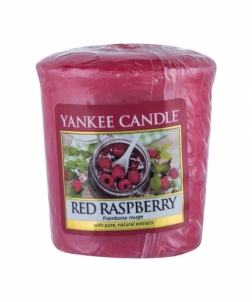 Aromatinė žvakė Yankee Candle Red Raspberry Scented Candle 49g 