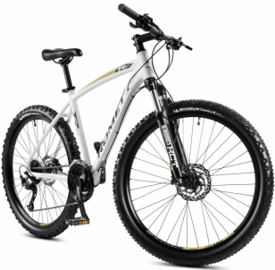 Velosipēds Romet Rambler R6.4 26 2023 white-gold-18 / L 