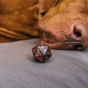 Kauliukų rinkinys DOGS Dice Set: Luna