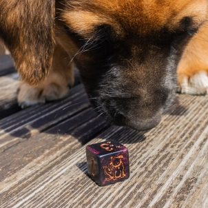 Kauliukų rinkinys DOGS Dice Set: Luna