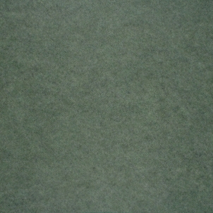 Carpet Beaulieu Real  Index 9896 green Carpeting