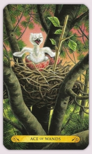 Kortos Tarot of the owls Llewellyn