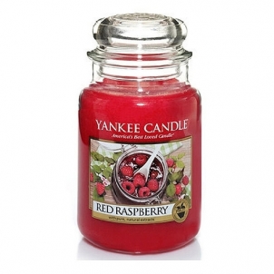 Kvapni žvakė Yankee Candle Classic large Red Raspberry 623 g Ароматы для дома