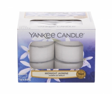 Kvapni žvakė Yankee Candle Midnight Jasmine 117,6g 