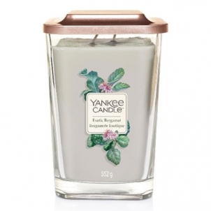 Kvapni žvakė Yankee Exotic Bergamot 552 g 