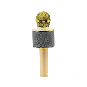 Mikrofonas Manta MIC10-G Gold