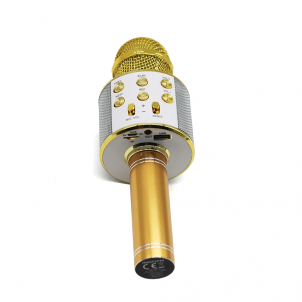 Mikrofonas Manta MIC10-G Gold