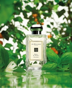 Odekolonas Jo Malone Basil & Neroli EDC 30 ml