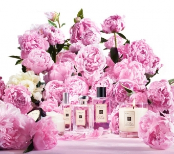 Odekolonas Jo Malone Peony & Blush Suede - EDC - 50 ml (be pakuotės)