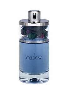 Parfumuotas vanduo Ajmal Shadow For Him EDP 75 ml 