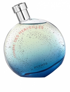 Parfumuotas vanduo Hermes L`Ombre Des Merveilles EDP 100 ml Духи для женщин