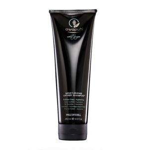 Plaukų šampūnas Paul Mitchell Awapuhi (Wild Ginger Moisturizing Lather Shampoo) 250 ml moisturizing shampoo 