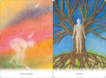 Taro kortos Body healing Cards kortos Schiffer Publishing