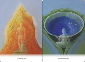 Taro kortos Body healing Cards kortos Schiffer Publishing