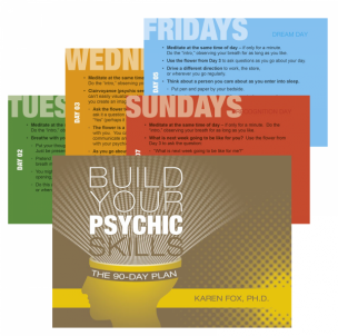 Taro kortos Build Your Psychic Skills: The 90-Day Plan kortos Schiffer Publishing