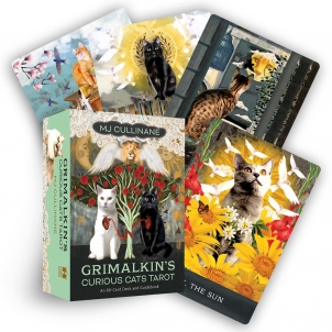 Taro kortos Grimalkins Curious Cats Tarot kortos Hay House