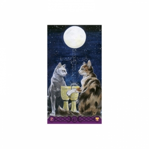 Taro Kortos Tarot Of Pagan Cats