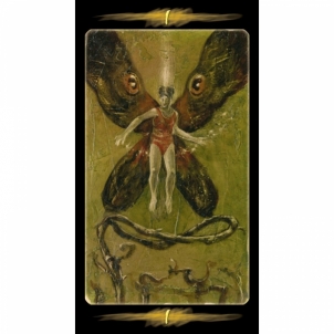 Taro Kortos Tarot Of The Secret Forest