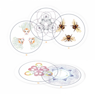 Taro kortos Transparent Oracle kortos 2-asis leidimas Schiffer Publishing