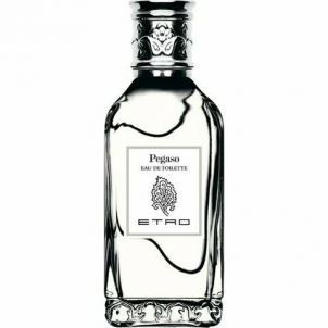 Etro Pegaso - EDT - 100 ml