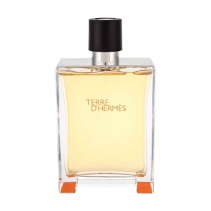 eau de toilette Hermes Terre D Hermes EDT 500ml Perfumes for men