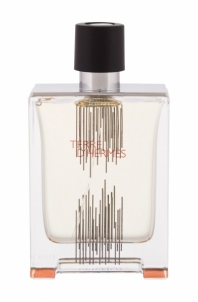 Tualetinis vanduo Hermes Terre d´Hermes Flacon H 2021 Eau de Toilette 100ml Духи для мужчин