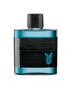 Tualetinis vanduo Playboy Ibiza EDT 100ml (testeris) Kvepalai vyrams