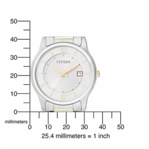 Vīriešu pulkstenis Citizen Basic BD0024-53A