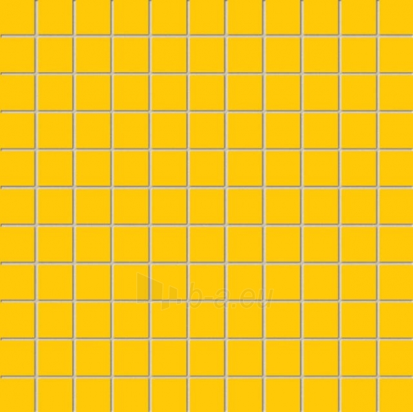 30*30 MSK-YELLOW, mozaika paveikslėlis 1 iš 1