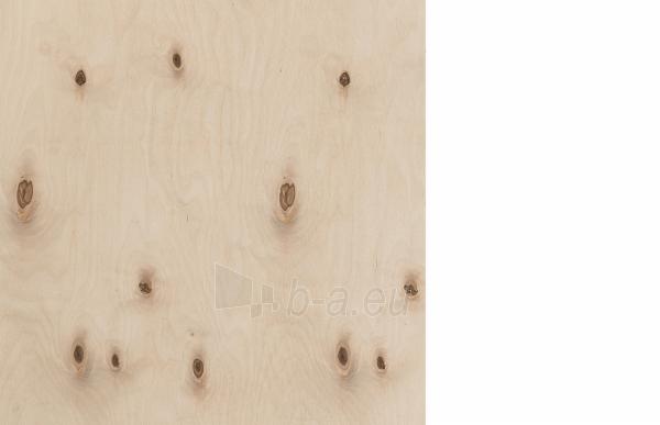 Plywood šlif. IV/IV 1525x1525x10 paveikslėlis 1 iš 1