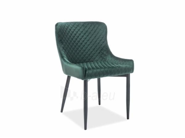 Dining chair Colin B Velvet green paveikslėlis 1 iš 1