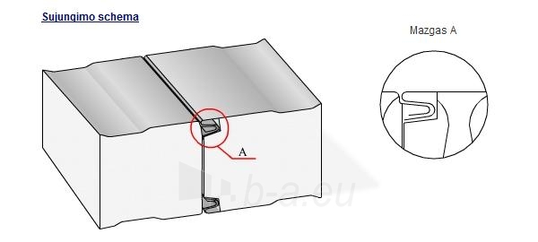 Daugiasluoksnė sieninė plokštė 'Sandwich' 50 mm (polistireninio putplasčio užpildo) paveikslėlis 4 iš 5