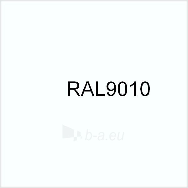 Рал 9010