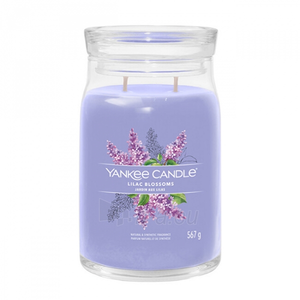 Aromatinė žvakė Yankee Candle Aromatic candle Signature glass large Lilac Blossoms 567 g paveikslėlis 1 iš 1