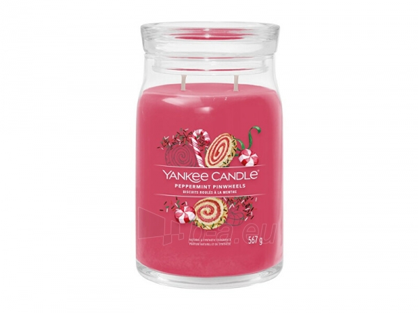 Aromatinė žvakė Yankee Candle Aromatic candle Signature glass large Peppermint Pinwheels 567 g paveikslėlis 1 iš 1