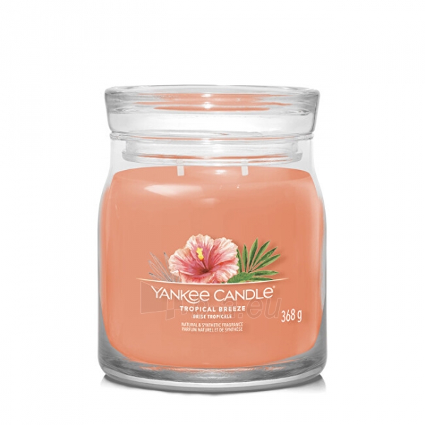 Aromatinė žvakė Yankee Candle Aromatic candle Signature glass medium Tropica l Breeze 368 g paveikslėlis 1 iš 1