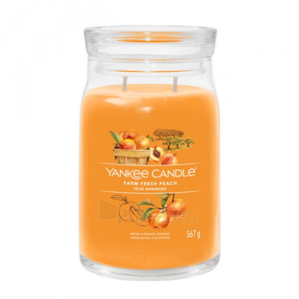 Aromatinė žvakė Yankee Candle Aromatic candle Signature large glass Farm Fresh Peach 567 g paveikslėlis 1 iš 1