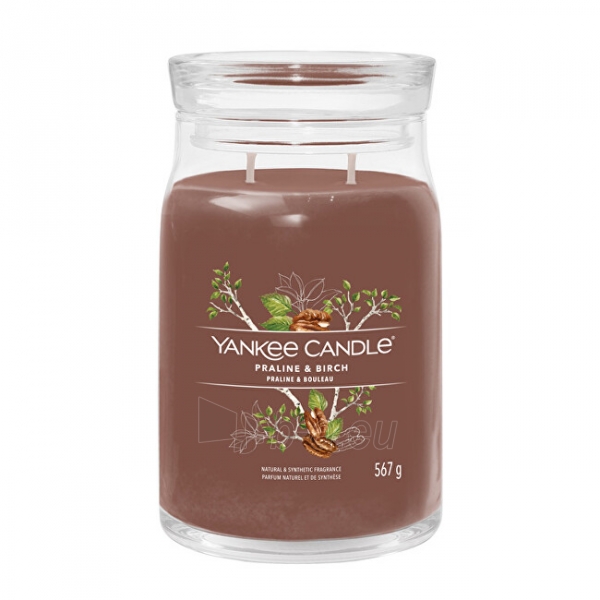 Aromatinė žvakė Yankee Candle Aromatic candle Signature large glass Praline & Birch 567 g paveikslėlis 1 iš 1