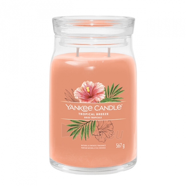 Aromatinė žvakė Yankee Candle Aromatic candle Signature large glass Tropica l Breeze 567 g paveikslėlis 1 iš 1