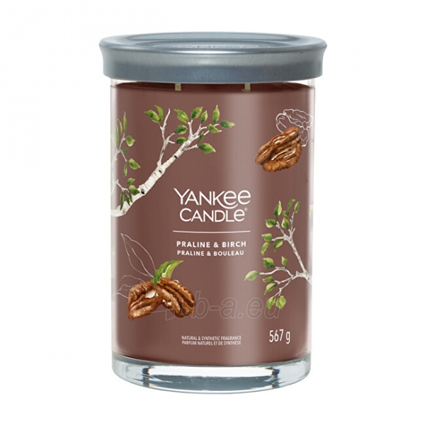 Aromatinė žvakė Yankee Candle Aromatic candle Signature tumbler large Praline & Birch 567 g paveikslėlis 1 iš 1