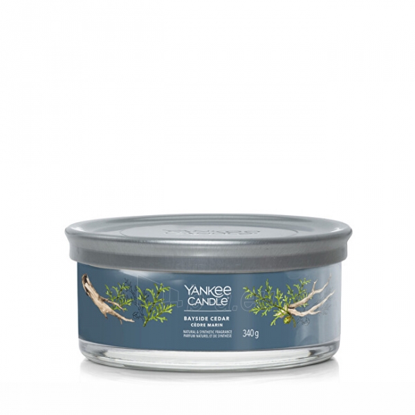 Aromatinė žvakė Yankee Candle Aromatic candle Signature tumbler medium Bayside Cedar 340 g paveikslėlis 1 iš 1