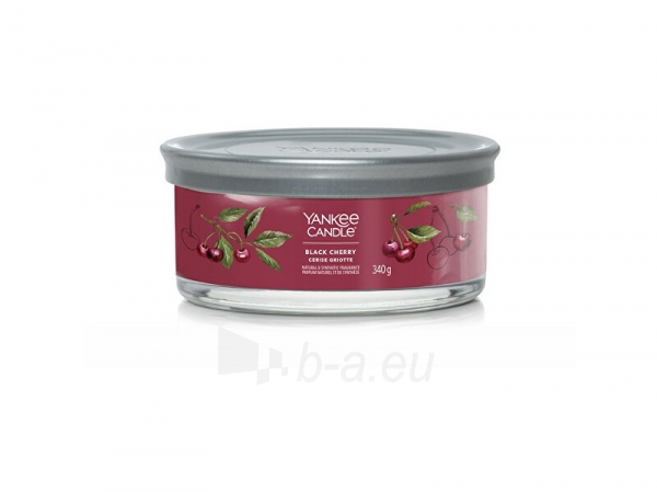 Aromatinė žvakė Yankee Candle Aromatic candle Signature tumbler medium Black Cherry 340 g paveikslėlis 1 iš 1