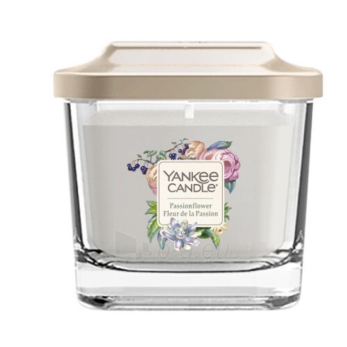 Aromatinė žvakė Yankee Candle Candionflower 96 g paveikslėlis 1 iš 1