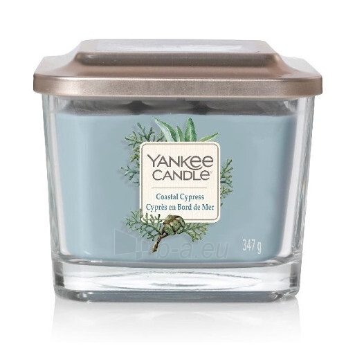 Aromatinė žvakė Yankee Candle Coastal Cypress 347 g paveikslėlis 1 iš 1