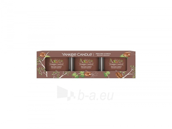 Aromatinė žvakė Yankee Candle Set of votive candles in glass Praline & Birch 3 x 37 g paveikslėlis 1 iš 1