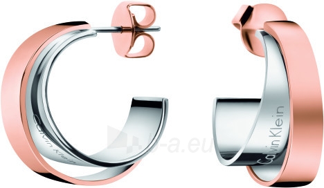 calvin klein earrings silver