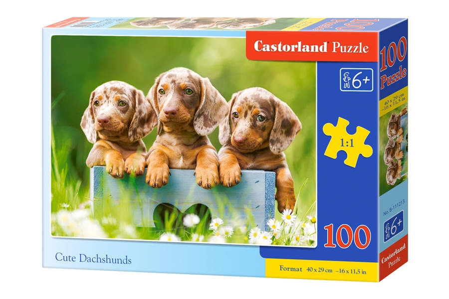 Dėlionė Castorland Cute Dachshunds, 100 dalių paveikslėlis 1 iš 1