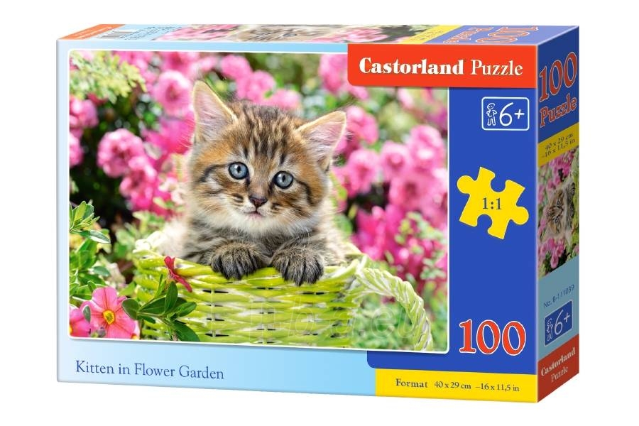 Dėlionė Castorland Kitten in Flower Garden, 100 dalių paveikslėlis 1 iš 1